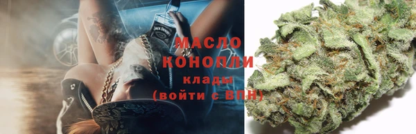 индика Аркадак