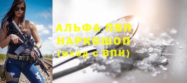 индика Аркадак