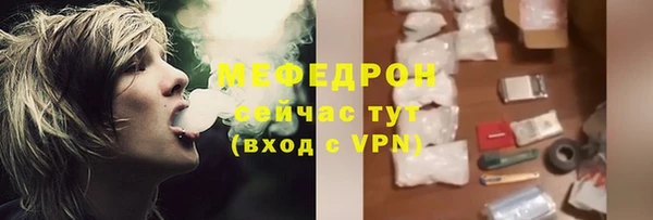 индика Аркадак