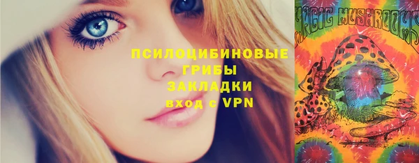 индика Аркадак