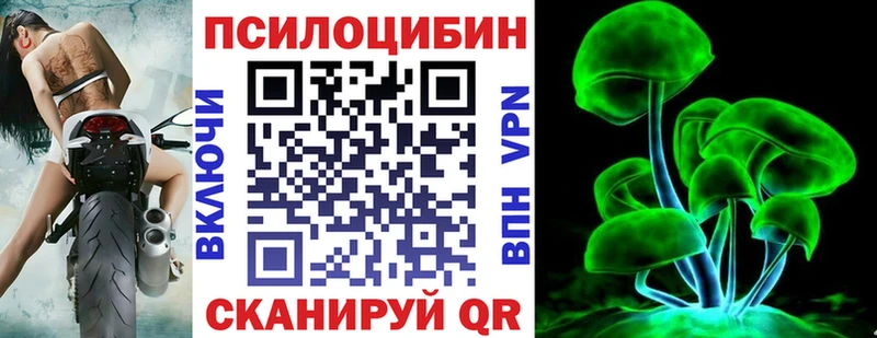 Галлюциногенные грибы Cubensis Чудово