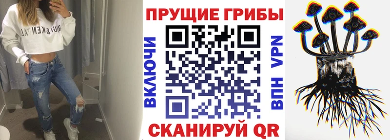 Галлюциногенные грибы прущие грибы  Чудово 